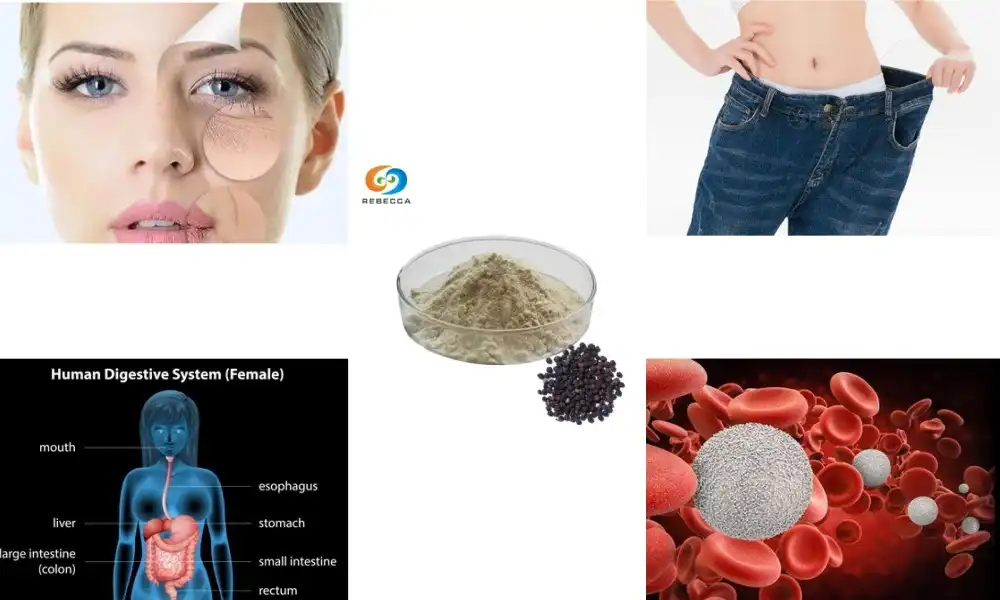 What is piperine used for?